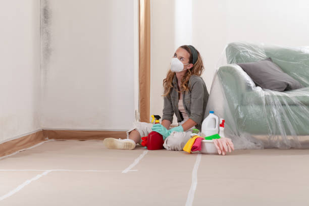 Reliable Black Mold Remediation contractor in Mill Creek, PA by Mold Remediation HQ